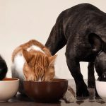 NestlePetFood