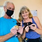 Newsletter-fosters