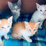 Nursery-March-newsletter