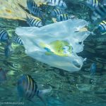 Plastic garbage polluting seas and ocean