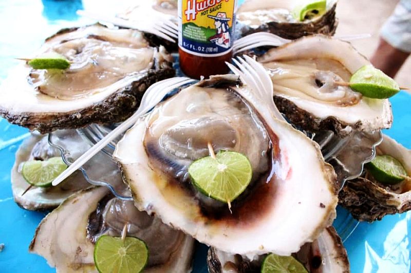 20th Annual Bucerías Oyster Festival Set for April 17 20th Annual Bucerías Oyster Festival Set for April 17
