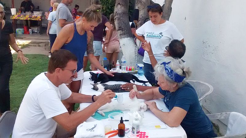 Help Ensure the Continued Success of the Cuale Clinic Help Ensure the Continued Success of the Cuale Clinic