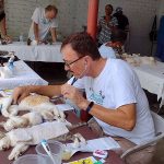 PawsAndClawsPuertoVallarta (7)