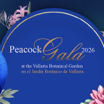 Peacock-Gala_EVENTO