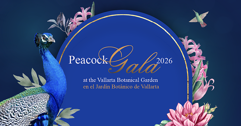 Save the Date for the Peacock Gala at Vallarta Botanical Garden Save the Date for the Peacock Gala at Vallarta Botanical Garden