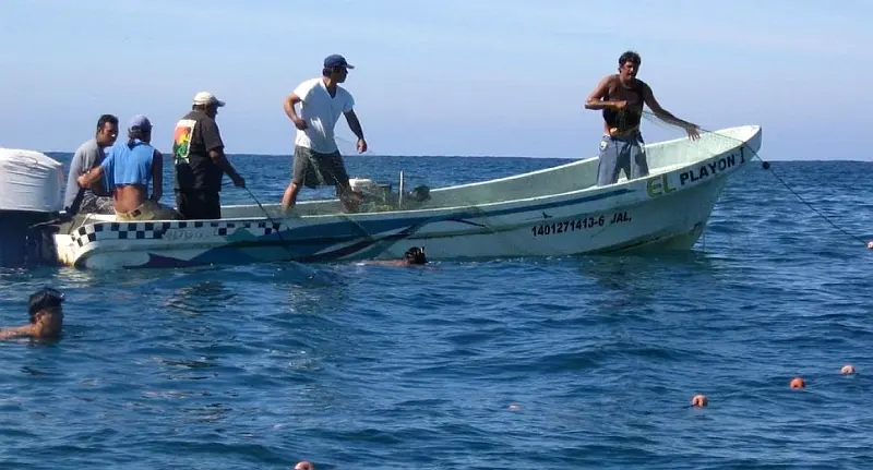 Puerto Vallarta Approves 300,000 Peso Boost for Fishing Sector