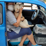 Pet-rescuer