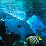 PlasticOcean