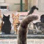 PuRR-April-2022
