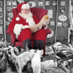 PuRR-December