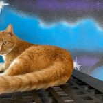 PuRR-December-2023