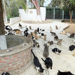 PuRR-July-2025
