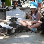 PuRR-July-2025-2