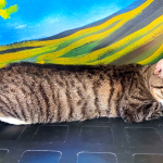 PuRR-June-2023