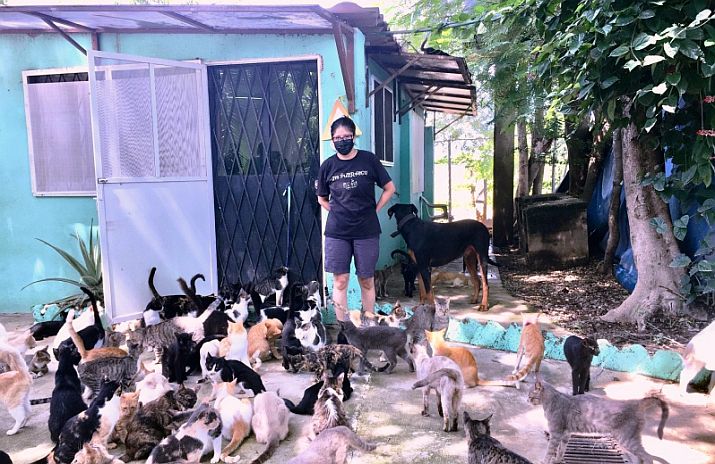 September 2021 News from PuRR Project Puerto Vallarta