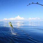 PuertoVallartaFishing