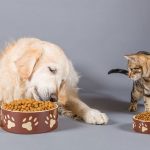 PurinaPets