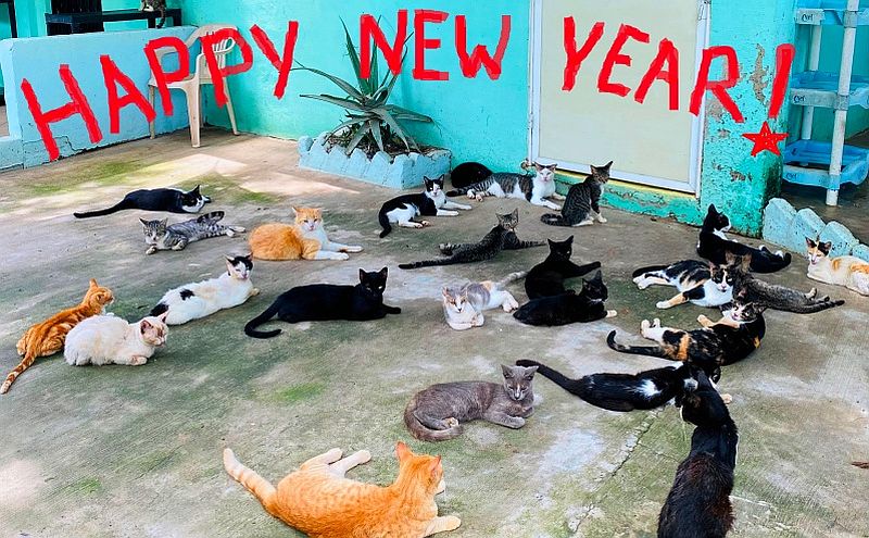 January 2025 News from PuRR Project Puerto Vallarta