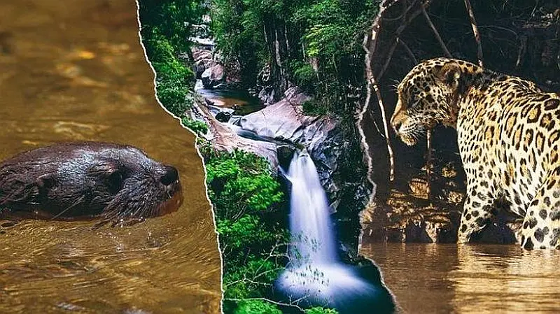 Protecting Río Los Horcones: A Lifeline for Nature and Communities