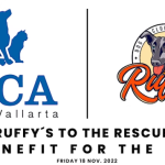 RuffysToTheRescue