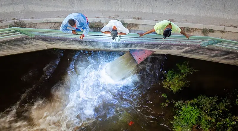 SEAPAL Vallarta Completes Major Pipe Cleaning in North Zone SEAPAL Vallarta Completes Major Pipe Cleaning in North Zone