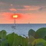 SailboatsSunset