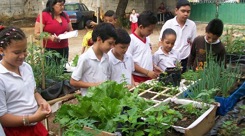 Green Education: Puerto Vallarta Promotes School Gardens