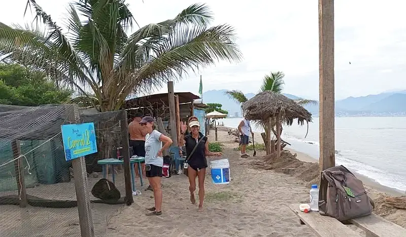 Puerto Vallarta City Council Approves Support for Sea Turtle Camp