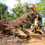Stump-removal
