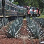 Tequila-Express-Jalisco-Mexico