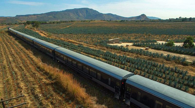 Tequila Express: Scenic Train from Guadalajara to Tequila Resumes