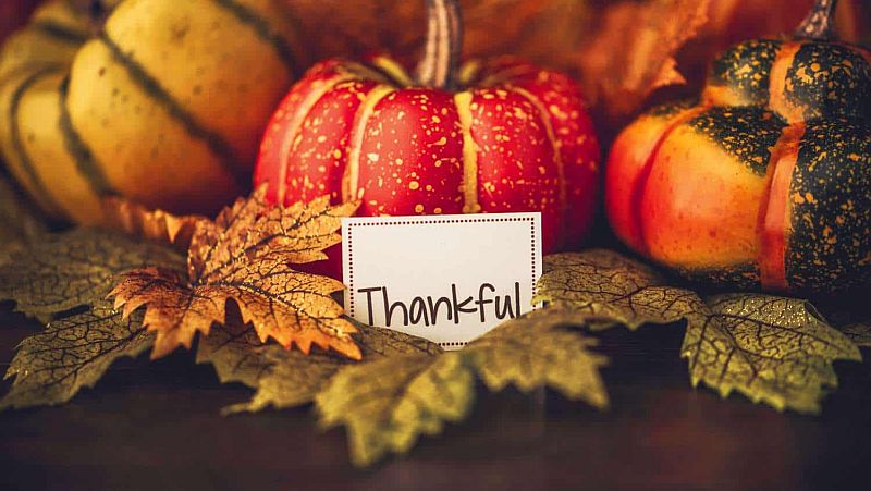 Salsa and Serendipity: My Thanksgiving is Wherever I Give Thanks