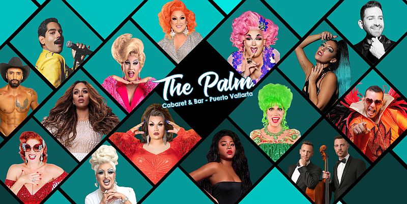 February at The Palm: New Shows and Returning Favorites