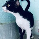 Tostada-newsletter