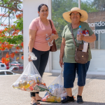 TransformingFamilies