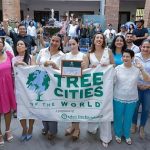 TreeCity