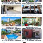 Trop-Banderas-QuarterI_2024