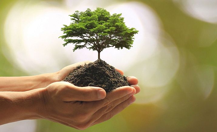 Vallarta Botanical Garden to Host Arbor Day Celebration Vallarta Botanical Garden to Host Arbor Day Celebration