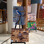 VBG-Bird-Photo-Expo