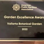 VBG-award