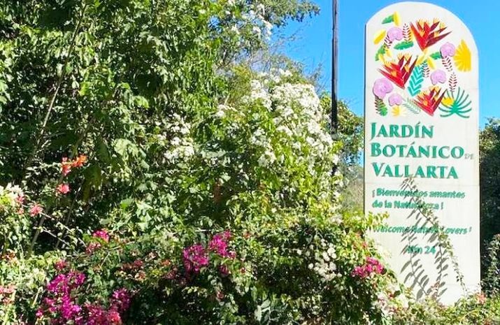 Vallarta Botanical Garden Names Tessa Lee Executive Director Vallarta Botanical Garden Names Tessa Lee Executive Director