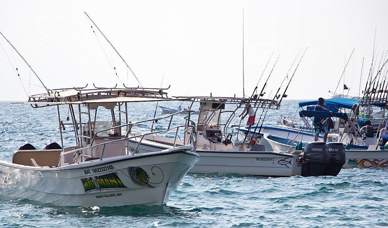 Los Muertos Fishing Tournament Returns November 8