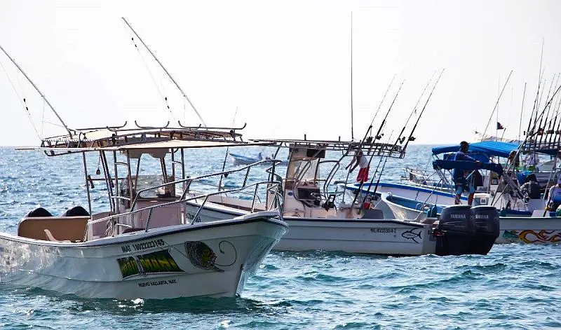 Los Muertos Fishing Tournament Offers 450,000 Pesos in Prizes Los Muertos Fishing Tournament Offers 450,000 Pesos in Prizes