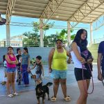Vallarta-pet-sterilizations
