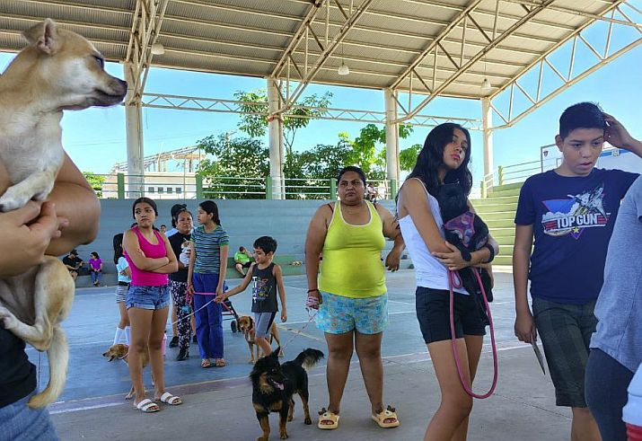 Puerto Vallarta Marks 3,355 Free Pet Sterilizations