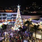 Vallarta2024ChristmasTree