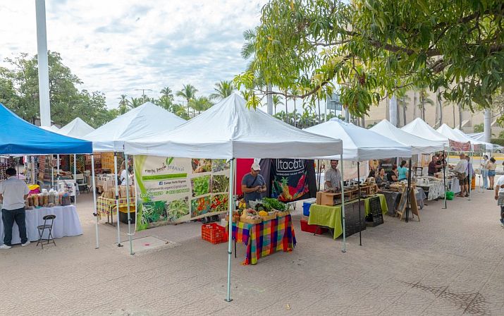 February Full of Music and Culture at Vallarta Farmers Market