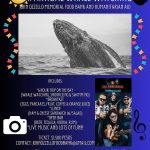 WhaleWatchingFundraiser