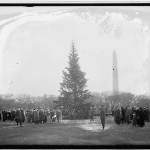 WhiteHouseChristmasTree