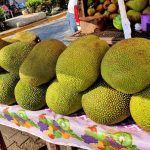 Yaca/Jackfruit a Good Source for Vegan Protein